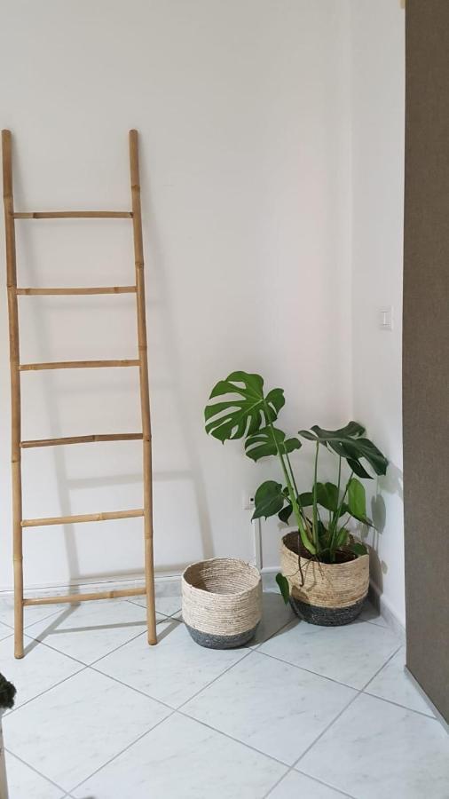 La Ceiba Speciosa Acomodação com café da manhã Capaccio Exterior foto