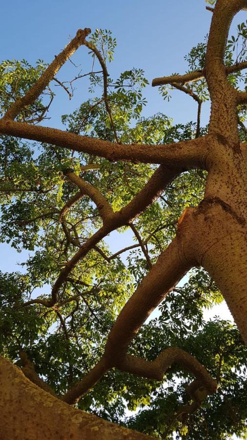 La Ceiba Speciosa Acomodação com café da manhã Capaccio Exterior foto