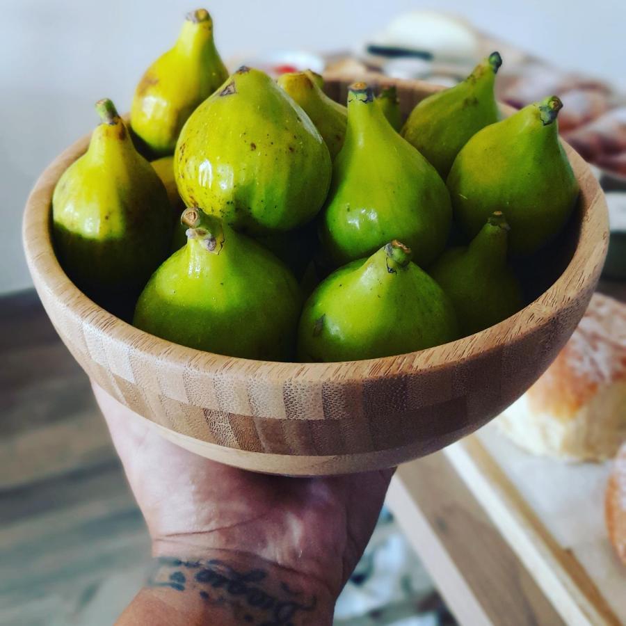 La Ceiba Speciosa Acomodação com café da manhã Capaccio Exterior foto